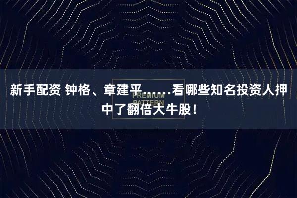 新手配资 钟格、章建平……看哪些知名投资人押中了翻倍大牛股！