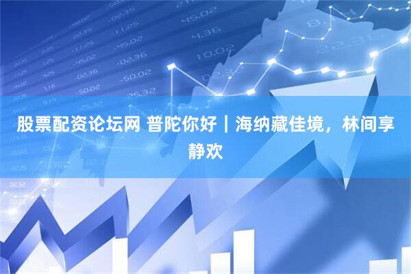 股票配资论坛网 普陀你好|海纳藏佳境,林间享静欢
